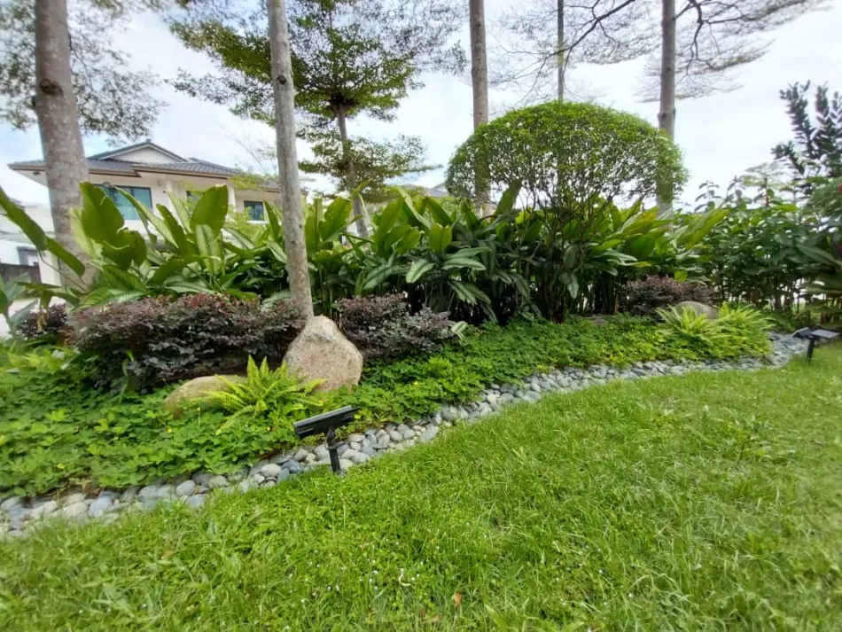 Pilihan lain - Planting